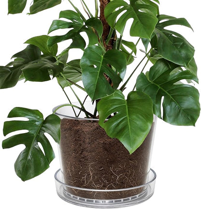 Phoenix Vine 12 Inch Clear Acrylic Planter Pot with Tray, Orchid Pot with Drainage Holes, Deep Saucer for Bottom Watering, Transparent Containers for Indoor Plants, Herbs, Set of 1, 91-A-I-1