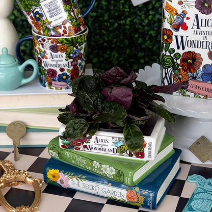 Steel Mill & Co Original Small Book-Shaped Decorative Planter, Ceramic Planter for Home Decor, Cute Bookshelf Accent, Unique Planter for Book Lovers, Alice/Wind in The Willows/Secret Garden