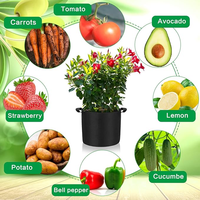 80 Pack 5 Gallon Grow Bags Bulk Heavy Duty Thickened Nonwoven Plant Fabric Pots Vegetable Grow Nursery Pots with Reinforced Handles for Vegetables Potato Tomato and Flower