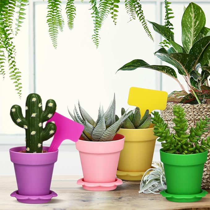 36 Packs Cupcake Plant Nursery Pots with Humidity Dome Small Flower Pots Plastic Planting Containers Cups with Saucers and Shovel for Indoor Outdoor Plant Succulent Display(Colorful)