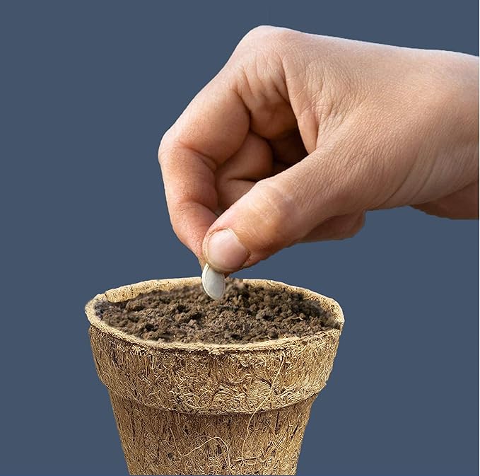 Deepthi 4-Inch Coco Coir Nursery Pots – Pack of 12 Biodegradable Seed Starter Cups – Organic Coir Peat Pots for Seedlings, Herbs, Indoor/Outdoor Gardening – Eco-Friendly Planting Pots