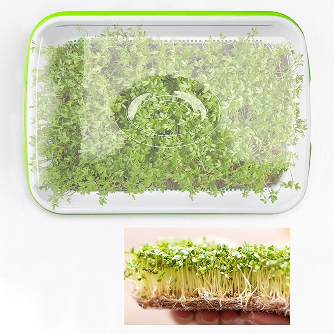 Seed Sprouter Tray with Drain Holes,Seed Germination Tray Kit BPA Free Nursery Tray,Soil-Free Big Capacity Healthy Wheatgrass Grower Sprouting Container (4 Pack with lid &mat -Light Green)