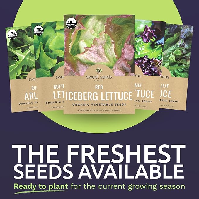 Organic Lettuce & Greens Seeds Variety Pack - 10 Individual Packs - 2026 Season - Buttercrunch, Arugula, Romaine, Kale and More! for Indoor & Outdoor Planting (Non-GMO, Certified Organic)