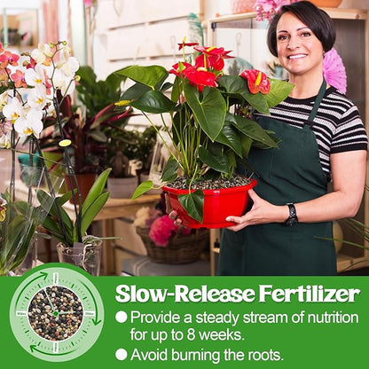 10-10-10 Slow-Release Premium Fertilizer - All-Purpose Plant Food for Indoor Outdoor Gardening Vegetables Flowers Lawn Trees Shrubs, 1 Quart