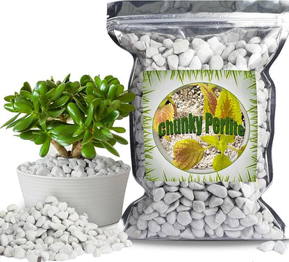 Organic Chunky Perlite for Plants (0.4"-0.8" in Diameter), Natural Horticultural Soil Additive Conditioner Mix, Improve Drainage and Ventilation, Enhance Soil Health and Root Growth (4 Quarts)