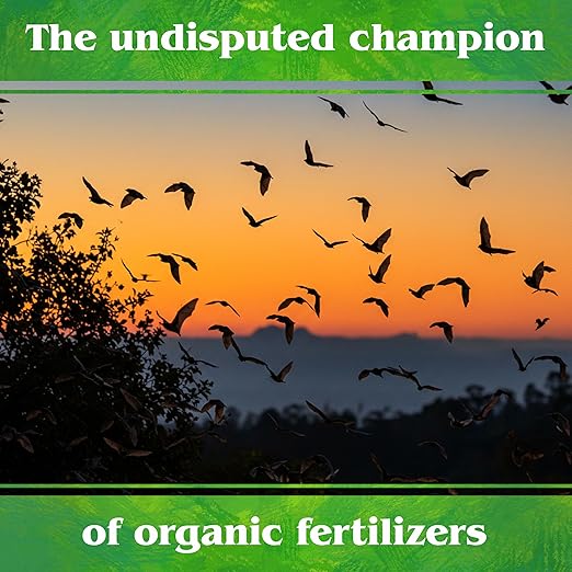 Down To Earth All Natural Fertilizers Organic Bat Guano - High Nitrogen Plant Food for Vegetative Growth 7-3-1, 0.25 lb