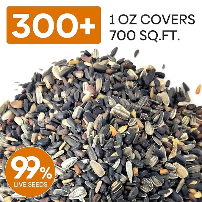 Sunflower Seeds for Planting, 15+ Varieties, 1 Oz, 300+ Mixed Seeds to Plant Colored Sunflower for Outdoors, Garden, Attracts Pollinators