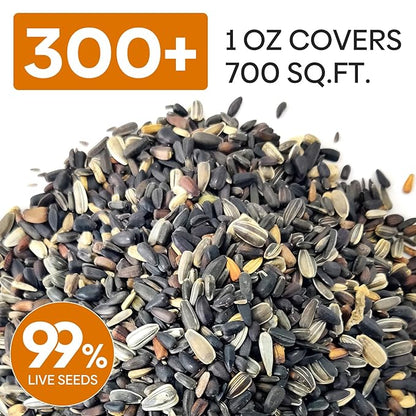 Sunflower Seeds for Planting, 15+ Varieties, 1 Oz, 300+ Mixed Seeds to Plant Colored Sunflower for Outdoors, Garden, Attracts Pollinators