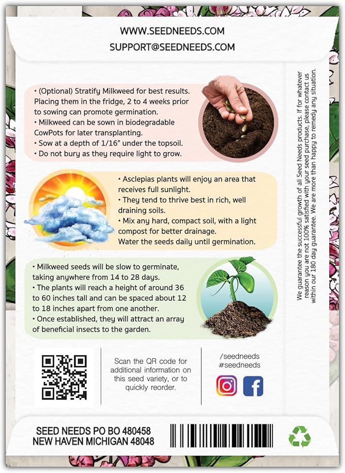 Seed Needs Pink Swamp Milkweed Seeds for Planting - Heirloom & Untreated - Grow a Butterfly Garden to Attract Monarch Butterflies & Pollinators (1 Pack)