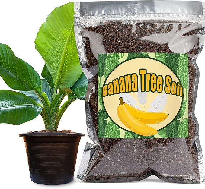 Premium Banana Tree Potting Mix for Optimal Seedling Growth 10qt, Suitable for All Indoor and Outdoor Banana Tree Varieties