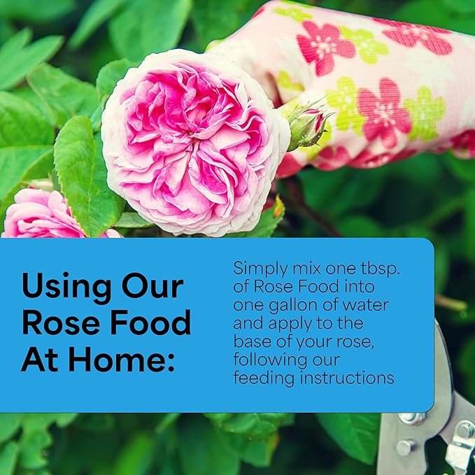 Grow More Magnum Rose Fertilizer (8-10-10) - 1.5lbs of USA-Made Rose Food - One-Step Water-Soluble Fertilizer to Increase Bloom & Growth