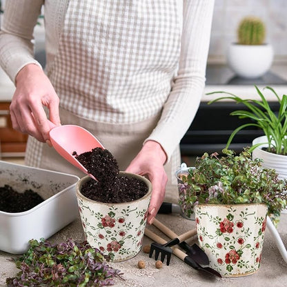 Farmhouse Ceramic Planter 5.5 Inch Large Plants Pot Crack Beige Red Rose Flowers Plant Pots with Drainage Hole Indoor Plants Kitchen Rustic Antique Decor Gift
