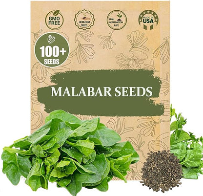 Premium Malabar Spinach Seeds - 100 Heirloom, Non-GMO Seeds for Planting – Easy-to-Grow Climbing Vegetable, Fast Growing Summer Green for Garden or Patio