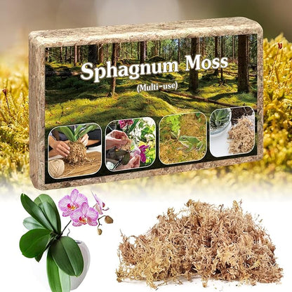 Sphagnum Moss,Sphagnum Moss for Plants,6 QT Natural Long Fibered Sphagnum Peat Moss,Premium Dried Orchid Moss for Orchids Succulents Carnivorous Potted Plant Gardening & Reptiles