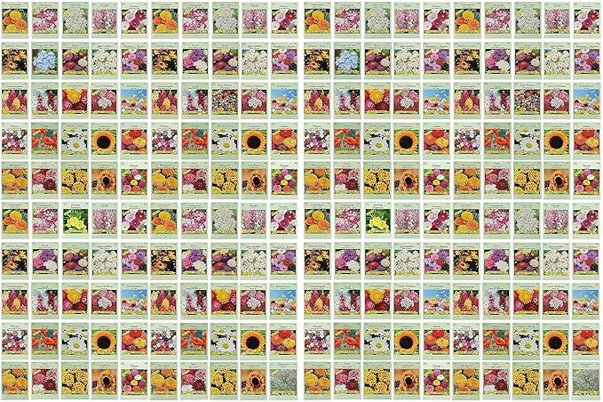 Set of 200 Assorted Flower Seed Packets! Flower Seeds in Bulk - 20+ Varieties Available!