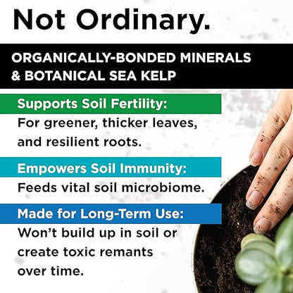All Purpose Indoor Outdoor Fertilizers & Plant Food : Bless Your Soil