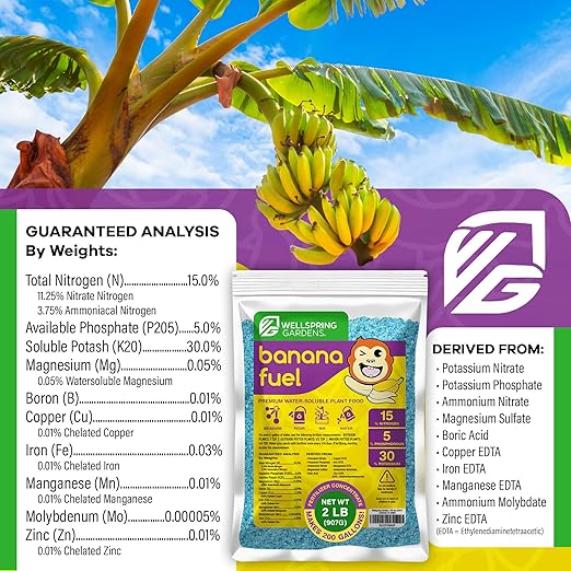 Wellspring Gardens Banana Fuel Fertilizer - Water-Soluble 15-5-30 Blend - Fertilizer for Banana Trees & Plants - Grow Healthy Plants (2 Pounds)