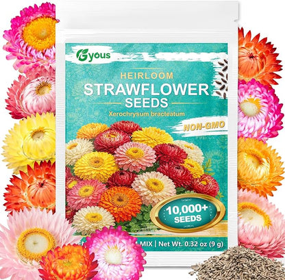 10,000+ Strawflower Seeds Mix, 9g – Heirloom Flower Seeds for Planting Outdoors, Cut Flower Seeds for Garden & Wildflower Beds, Non-GMO Color Mix Strawflower Flower Seeds