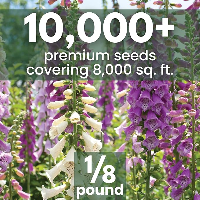 Foxglove Mixed Colors – 10,000 Seeds for Planting – 2026 Season – 2 Ounce Pouch