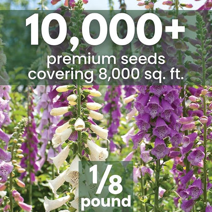 Foxglove Mixed Colors – 10,000 Seeds for Planting – 2026 Season – 2 Ounce Pouch