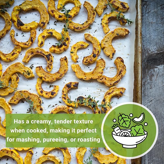 Sow Right Seeds - Yellow Scallop Squash Seed for Planting - Non-GMO Heirloom Packet with Instructions to Plant a Home Vegetable Garden, Traditional Summer Variety - Tasty Mini Squash (3)