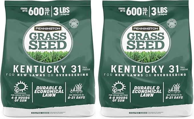 Pennington Kentucky 31 Tall Fescue Penkoted Grass Seed 3 lb, Green (Pack of 2)