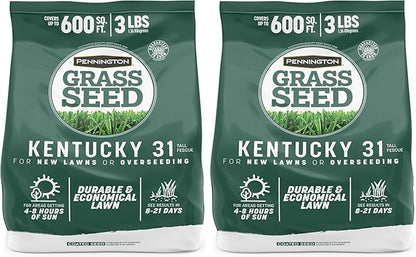 Pennington Kentucky 31 Tall Fescue Penkoted Grass Seed 3 lb, Green (Pack of 2)