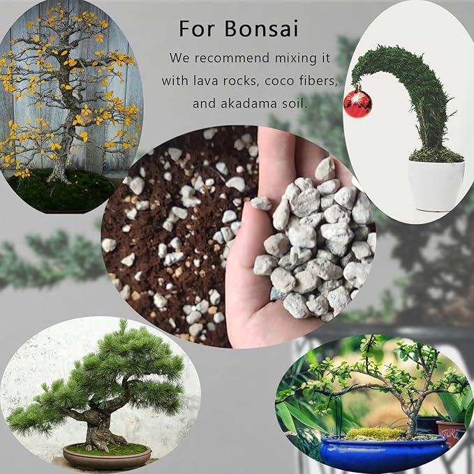 Horticultural Pumice for Plants 2QT, Natural Organic Pumice Stones for Succulent Cactus Bonsai Tree Orchid Potting Mixed, Improves Soil Aeration and Drainage, Promotes Root