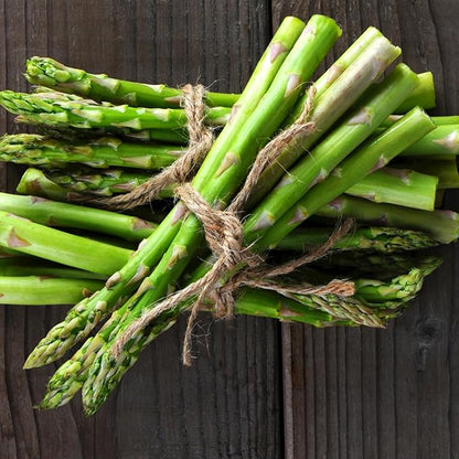 Seed Needs Asparagus Seeds for Planting Mary Washington Asparagus - Non-GMO Heirloom & Untreated Perennial Vegetable Seed to Plant an Outdoor Home Grown Garden (2 Packs)
