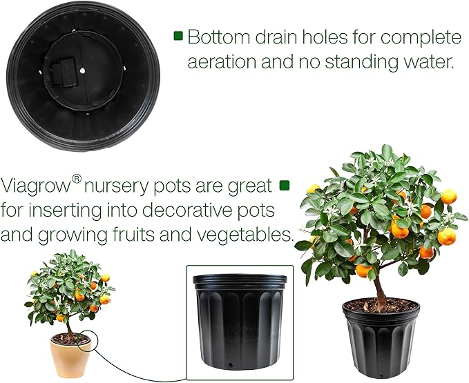Viagrow VHPP200-24 VHPP Nursery Pots, 2 Gallon, Black