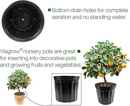 Viagrow VHPP200-24 VHPP Nursery Pots, 2 Gallon, Black