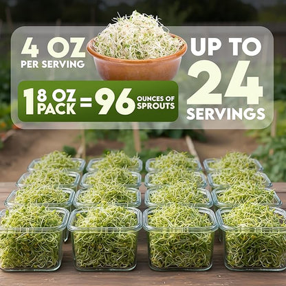 Nature Jims Sprouts Organic Broccoli Seeds for Sprouting – Certified Non-GMO, Rich in Sulforaphane, Swift-Growing Microgreen Seeds for Nutritious Broccoli Sprouts – Ideal for Indoor/Outdoor Use – 8oz