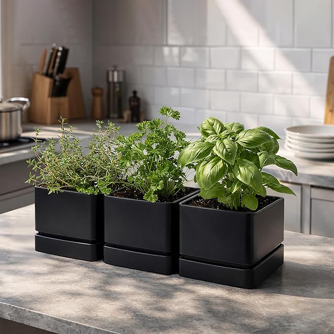 D'vine Dev 6 Inch Herb Planter Pot, Plastic Planter with Drainage Holes and Saucer, Modern Decorative Gardening Pot for Indoor Plants, Flowers, Herbs, Succulents, Black, Set of 3, 76-Y-B3-2