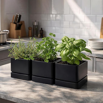 D'vine Dev 6 Inch Herb Planter Pot, Plastic Planter with Drainage Holes and Saucer, Modern Decorative Gardening Pot for Indoor Plants, Flowers, Herbs, Succulents, Black, Set of 3, 76-Y-B3-2
