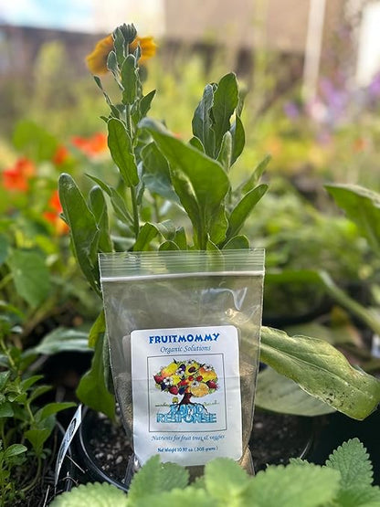 Fruitmommy Organic Solutions Rapid Response - Fast-Acting Water Soluble Organic Fertilizer for Vegetables, Plants, Flowers, & Fruit Trees