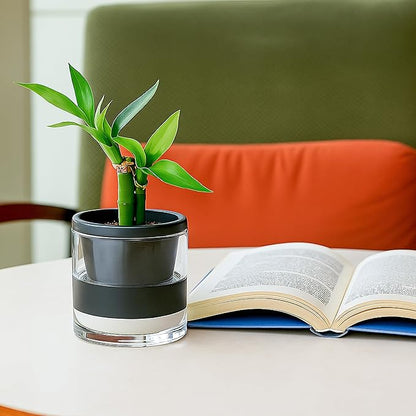 D'vine Dev 4 Inch Design Self Watering Planter for Indoor Plants, Black Terracotta Pot with Cylinder Glass Cup, Set of 2, 37-Y-A-3