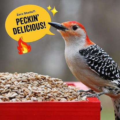 Hearts on Fire Hot Bird Seed – 10 lb. 100% Hulled Sunflower Hearts with Chili Pepper Oil – No Waste Bird Seed for Outside Feeders