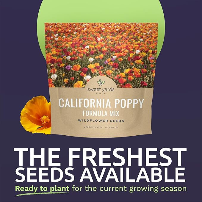 California Poppy – Formula Mix – Large 1/2 Ounce Seed Packet – 10,000 Flower Seeds for Planting – Eschscholzia californica
