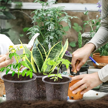 JOPY Plant Nursery Pots with Humidity Dome Seed Starter Pots Seedlings Planting Pots Small Planter Containers with Drainage Holes (Transparent, 5/6/7 inch-30Pcs)