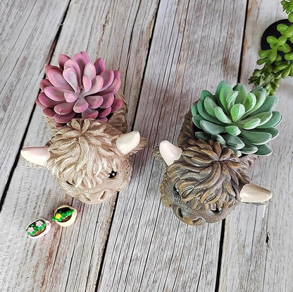 Resin Highland Cow Figurines Succulent Planters Cactus Pot Animal Flower Container Cute Scottish Highland Cow Decor Flower Pot Plants Holder Figurine Decor Calf Statues Gift for Cow Lovers (D, 1PCS)