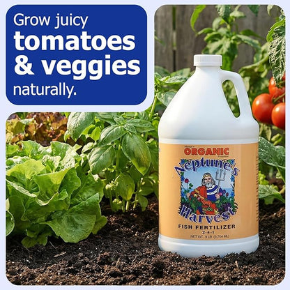Neptune's Harvest Fish Fertilizer (2-4-1) - 1 Gallon Bottle - Organic Liquid Plant Fertilizer - Fish Hydrolysate for Vegetables, Flowers, Fruit, Trees, Grass - Indoor and Outdoor Plant Food