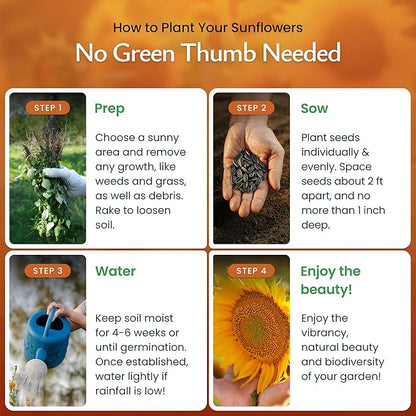 Created By Nature Sunflower Seeds to Plant, 9-Variety Sunflower Seed Mix, 1,000 Seeds