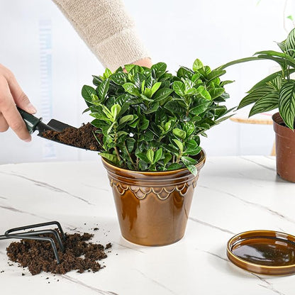 6.3 Inch Ceramic Planter, Plant Pot with Drainage Hole and Saucer, Decorative Glaze Flower Pot for Indoor Plants (Caramel)
