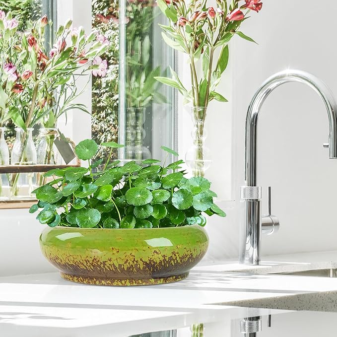 Lotus Bowl Planter - 7.3 Inch Large Lotus Flower Bowl for Water Plants, Ceramic Hydroponic Planter Water Lily Bowl for Planting Aquatic and Indoor Succulent Plants and Bonsai