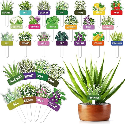 20 Pcs Acrylic Vegetables Plant Label Signs 20 Style Plant Stake Tags with Names Waterproof Herb Garden Markers Reusable Labels Markers for Seedlings Nursery Garden Succulent Flowers Greenery
