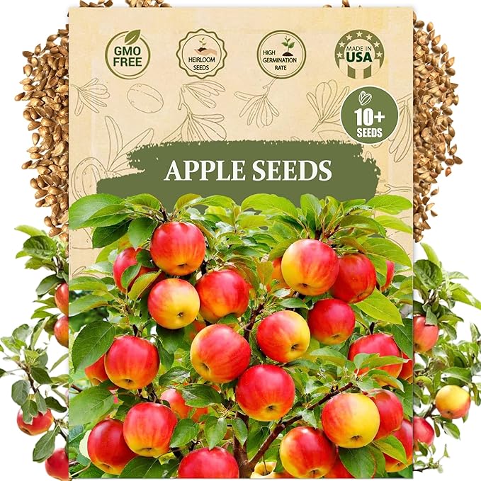 Apple Seeds for Planting – 10+ Heirloom Apple Tree Seeds for Home Garden, Fruit Tree Seeds for Backyard Orchard, Growing Instructions Included