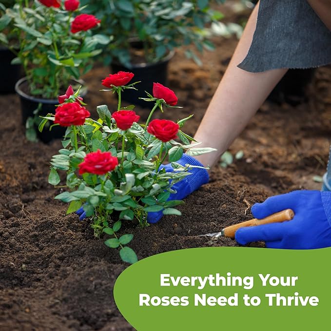 Specialty Rose Planting Mix by Perfect Plants | Premium Nutrients for Flowering Roses Such as Drift, Knockout, and Heirloom (8qt)