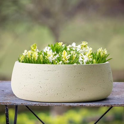 Olly & Rose Barcelona Off-White Ceramic Plant Bowl - 11 Inch - Indoor Outdoor Planter and Table Decor