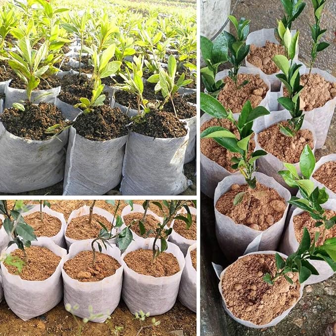 Belit Large Non-Woven Plant Nursery Bags, 25 Pcs Grow Bags Seedling Pots Container for Tree,Vegetable, Flower, Plant Grow (13.2"x15")