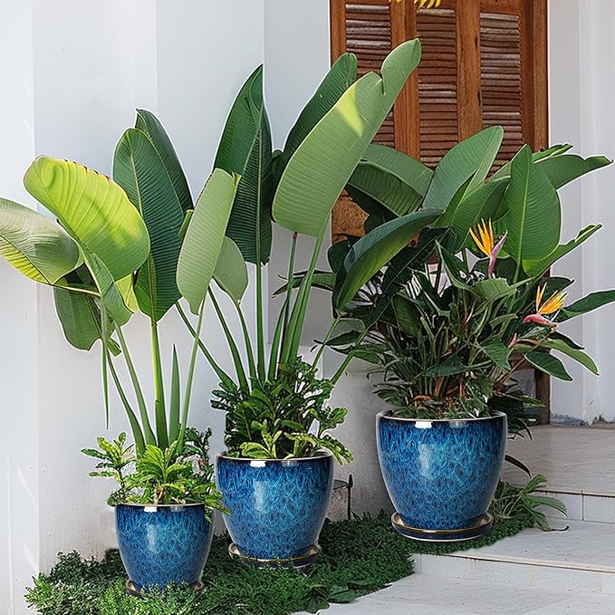 Plant Pots Indoor, Ceramic Planters Pots with Drainage Holes and Saucers, 10+8+6 Inch, Set of 3, Round Large Flower Pots for Indoor Outdoor Plants, Blue